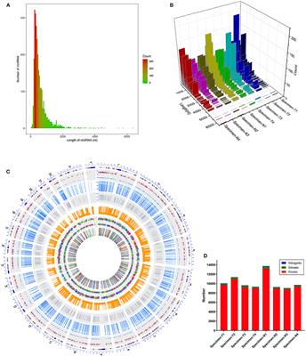 Circular RNA Expression Profiles in Nasopharyngeal Carcinoma by Sequence Analysis